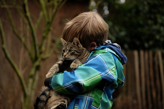 Katzen und Kinder: Wie man sicherstellt, dass alle glücklich sind!