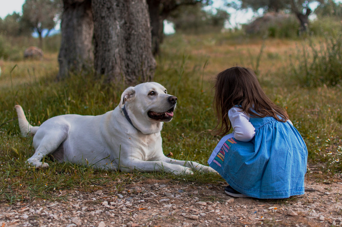 Hunde und Kinder: Wie man ein sicheres und glückliches Zusammenleben schafft